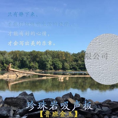 珍珠巖吸音板 杭州晶閃石600×600×20mm