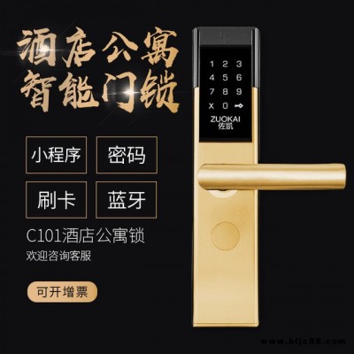 C101 酒店公寓密碼鎖 家用防盜門鎖智能電子鎖 手機(jī)開(kāi)門