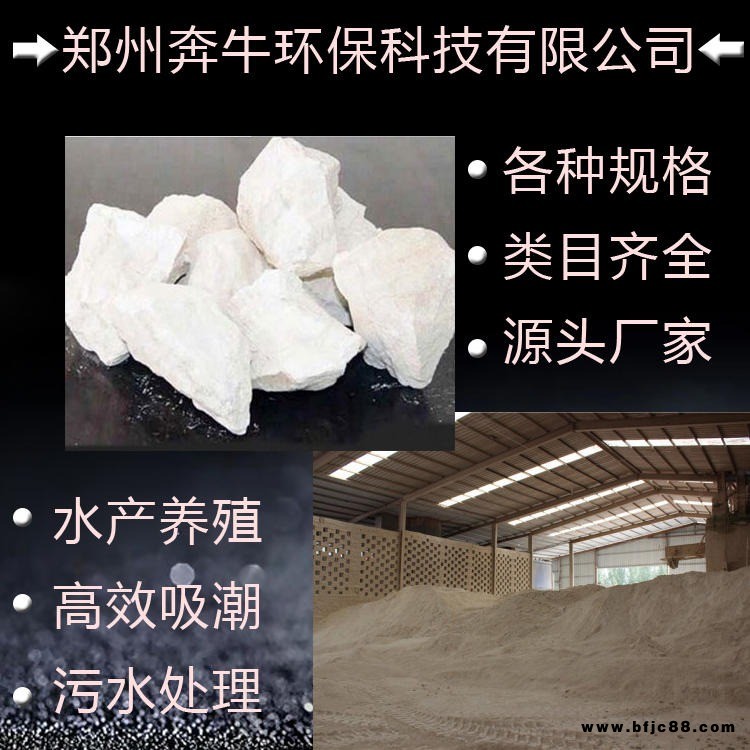 優(yōu)質(zhì)正宗石灰粉廠家 水處理生石灰熟石灰 氫氧化鈣大量供應(yīng)