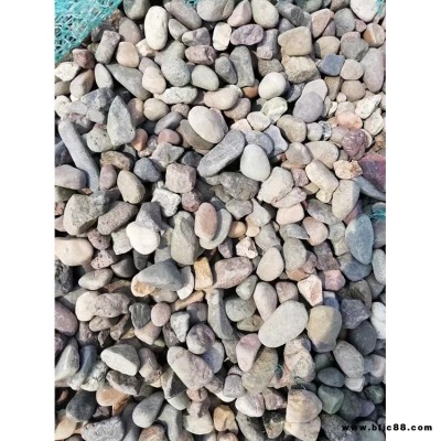 景觀石鵝卵石 鋪面鋪路專用鵝卵石  基地供應(yīng) 碧之源