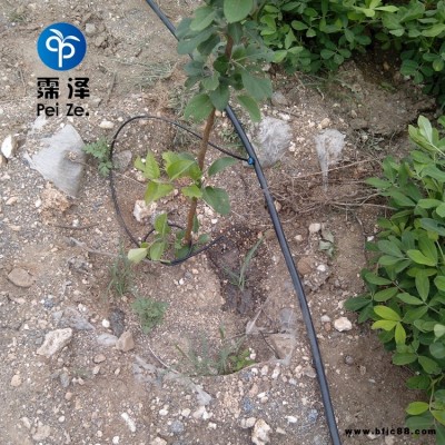 石家莊藁城園藝滴灌霈澤50L穩流器農田灌溉PE管廠家