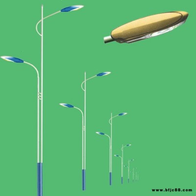 霽月燈飾   220V市電路燈 新農(nóng)村路燈 別墅庭院戶外燈 LED燈路燈桿 廠家直銷