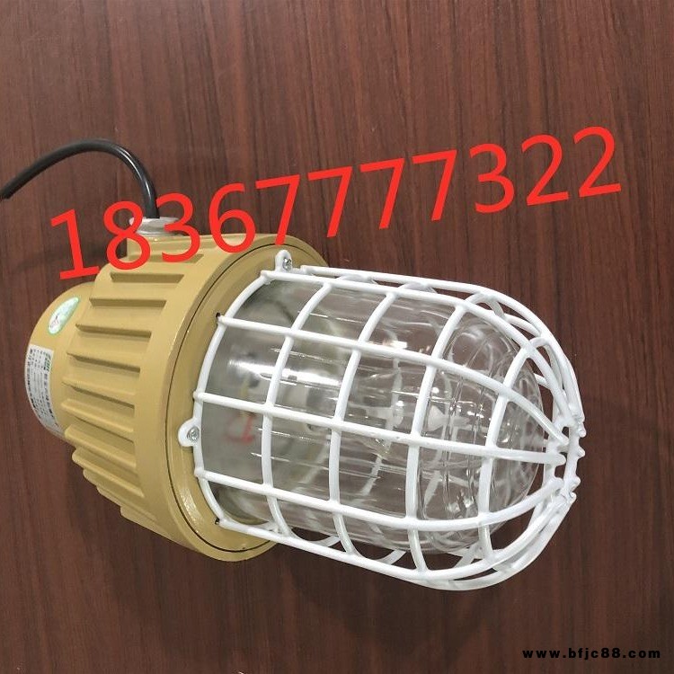 國標(biāo)LED防爆燈隔爆型車間工廠房照明燈倉庫燈防爆型燈罩加油站燈