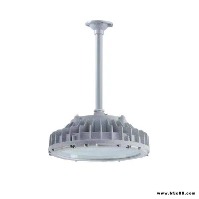 隔爆型100W泛光燈 150W投光燈 倉(cāng)庫(kù)加油站廠房照明燈 LED防爆燈