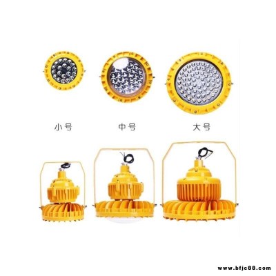 led防爆燈加油站化工廠車(chē)間應(yīng)急燈防水投光燈廠家批發(fā)30w