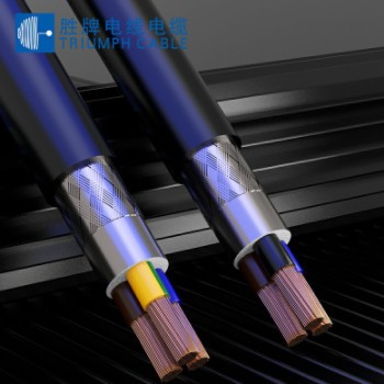 勝牌RVVP/1.0MM多芯護(hù)套雙屏蔽電纜2~6芯通訊控制信號(hào)線無(wú)氧銅芯