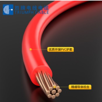 勝牌BVR10mm國(guó)標(biāo)家裝家用銅芯電線 阻燃單芯多股軟線電源線
