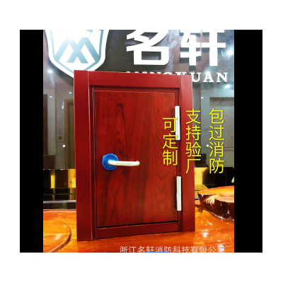 廠家直供定制防火門鋼木質防火門特制木質防火門免漆防火門防火門