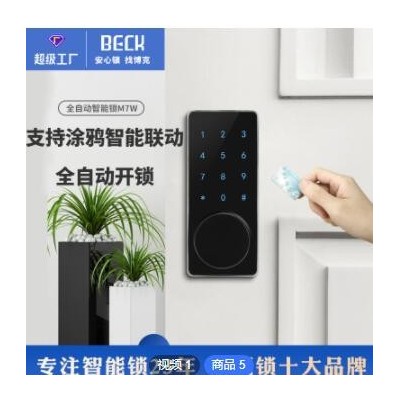 跨境外貿別墅密碼鎖室內臥式木門智能密碼鎖防盜呆鎖wifi鎖定制