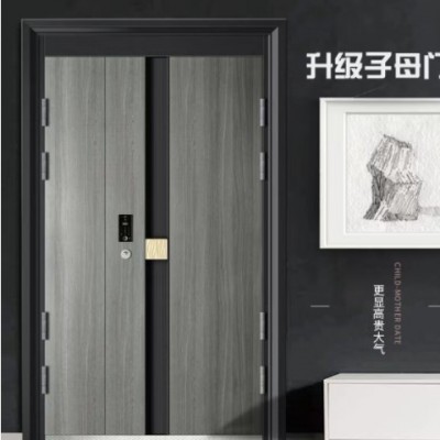 家用甲級防盜門人臉識別智能進戶子母門鋅合金輕奢現代入戶門單門