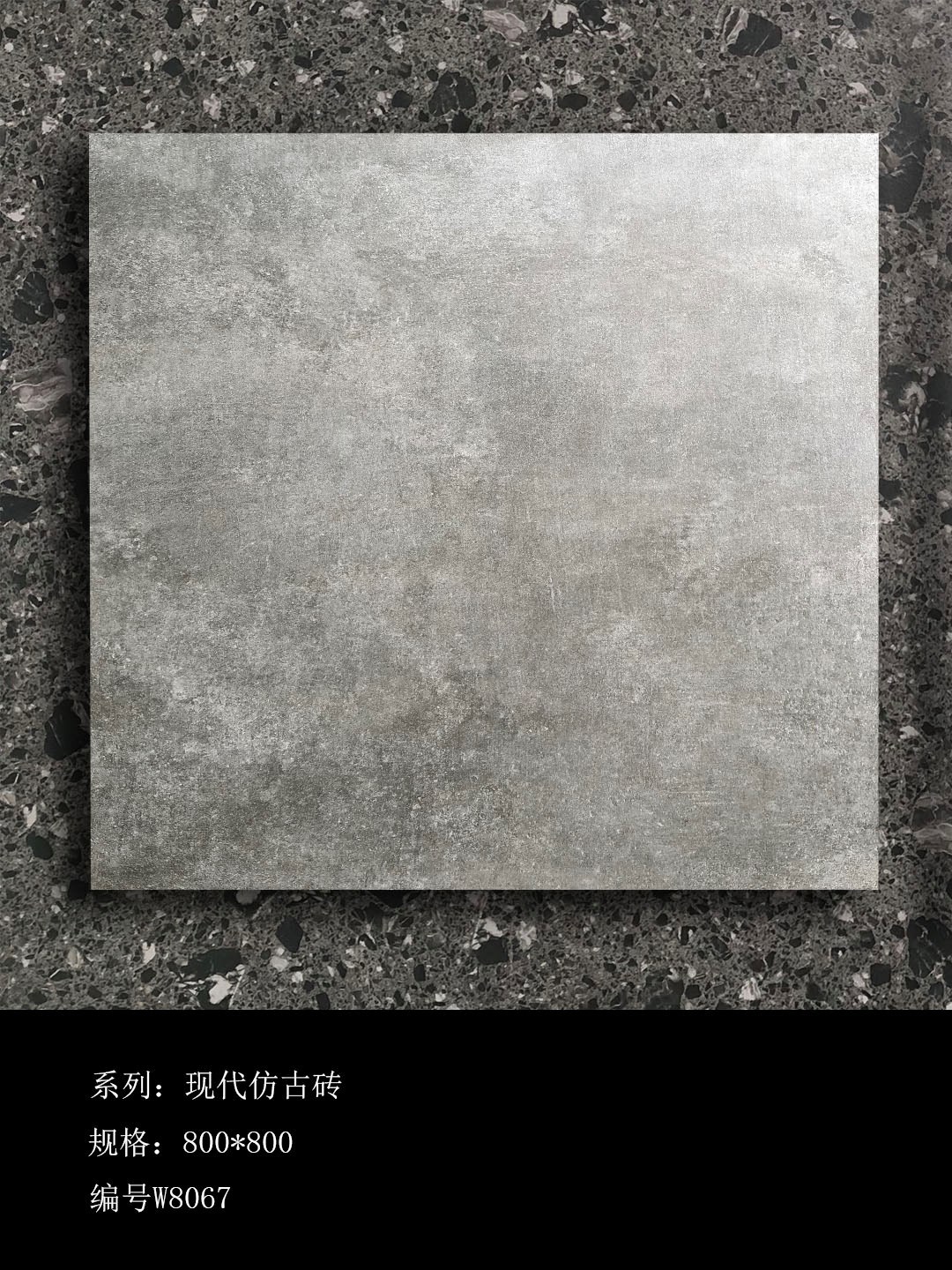 W8067.jpg