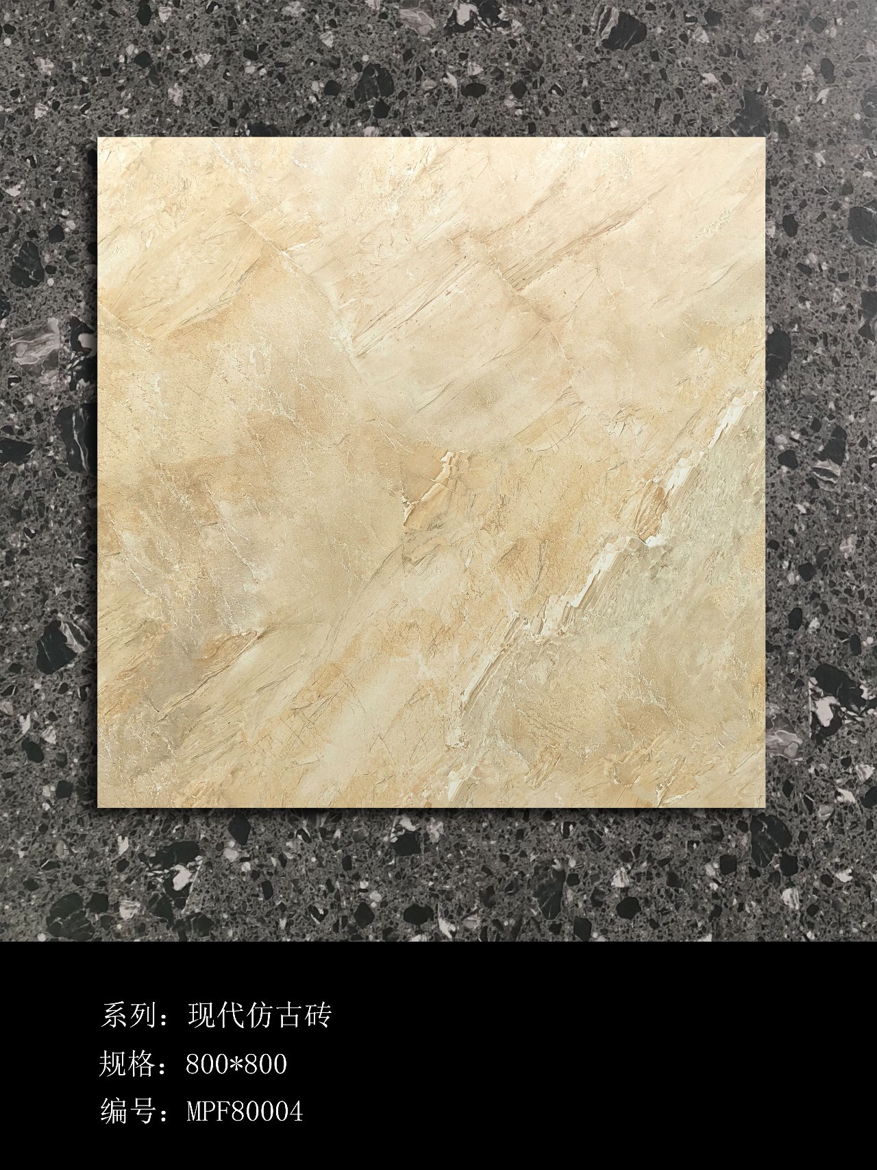 MPF80004.jpg