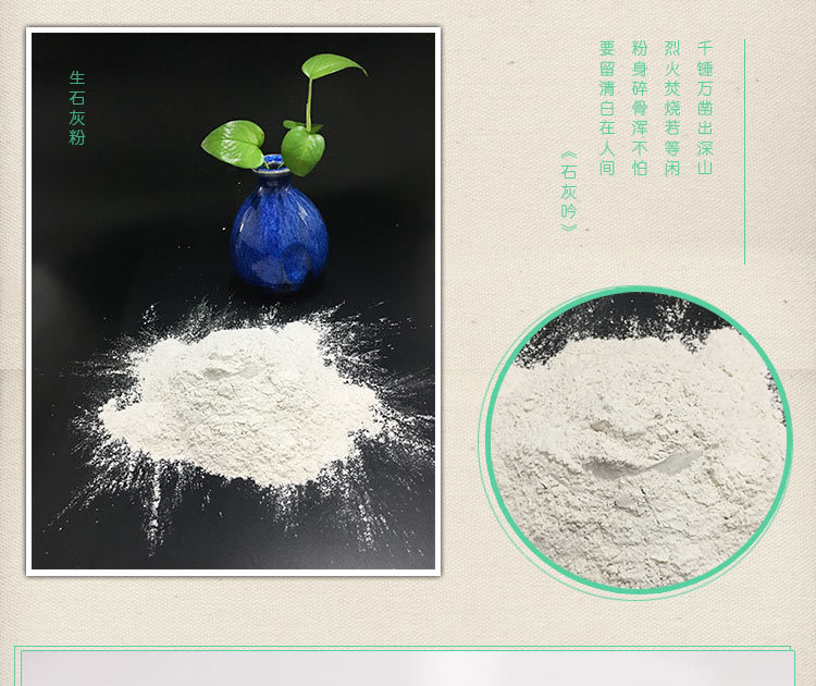 生石灰粉干燥劑50斤包郵 室內(nèi)干燥 驅(qū)蟲(chóng)防霉 樹(shù)干刷白 生石灰粉示例圖8