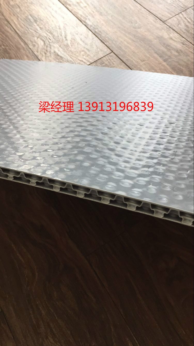 塑料蜂窩板 中空蜂窩板板直銷 中空板/蜂窩板  廠家出貨 可定制示例圖3