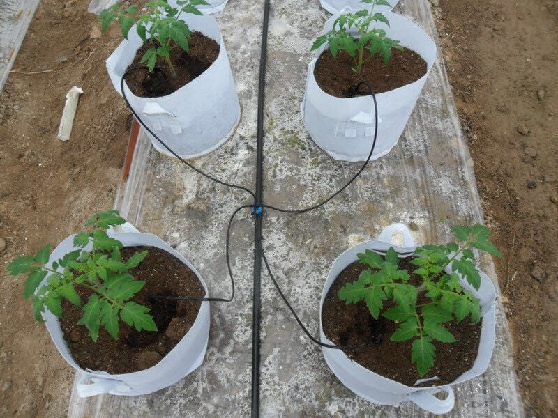 大棚溫室灌溉25PE管 大棚噴灌PE管 蔬菜噴灌設備專用pe管廠家示例圖10
