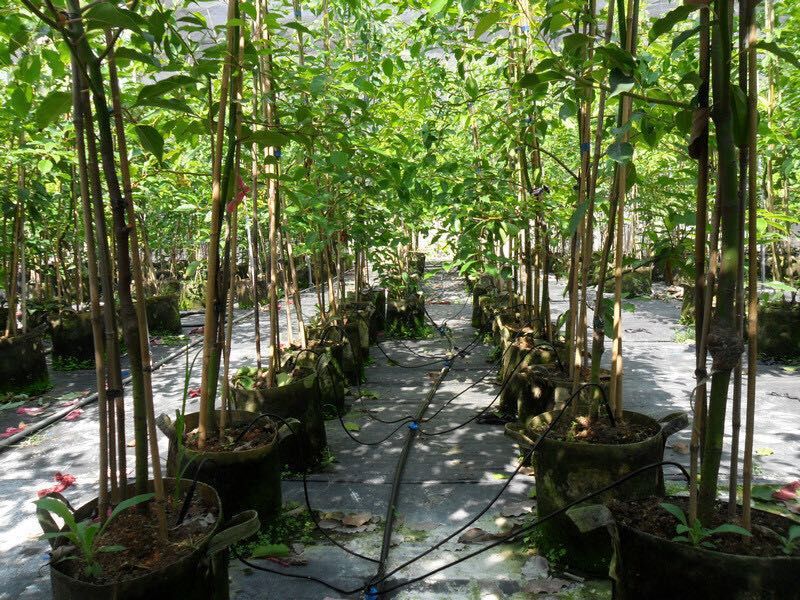 大棚溫室灌溉25PE管 大棚噴灌PE管 蔬菜噴灌設備專用pe管廠家示例圖14
