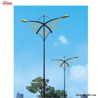 市電投光燈廠家     懷仁市9米單臂路燈    市政道路快速路市電路燈價格