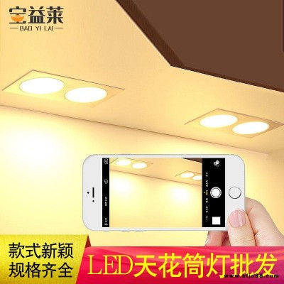 LED天花筒燈批發(fā) 格柵燈廠家 寶益萊暗裝雙排斗膽燈