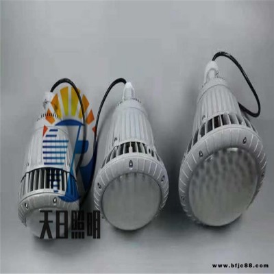 GHTG633投光燈 TG64投光燈 TG68投光燈 反射型投光燈匯彩GXTG64投光燈 CXTG64節能燈