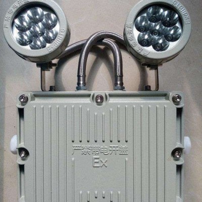 防爆雙頭應急燈 BAJ52 （LED）小功率5w 消防應急 化工防爆燈具廠