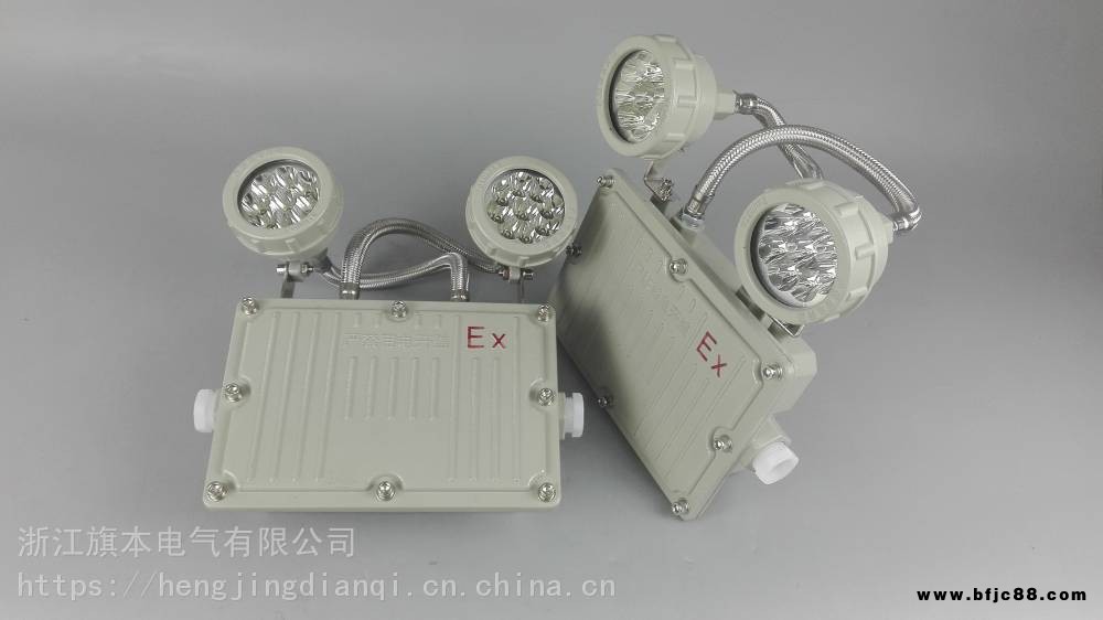 自帶蓄電池防爆型應急照明燈雙頭2X3W 應急燈2X5W