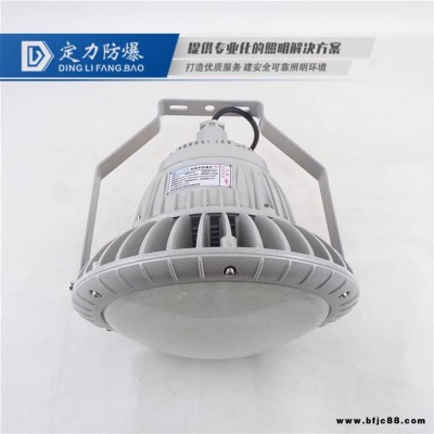 工廠防水防塵防腐LED應(yīng)急燈 防爆 節(jié)能照明燈