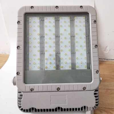 RLEEXL5330-XL120A4 LED防爆投光燈 RLEEXL5330-XL200A1