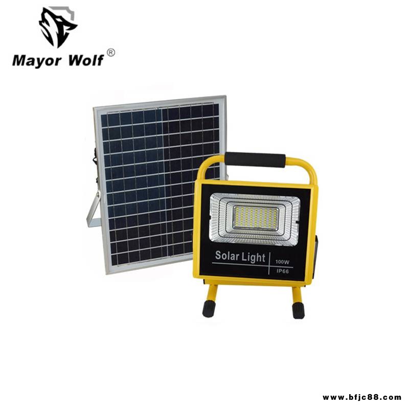 太陽能路燈廠家40W太陽能投光燈led農(nóng)場魚塘庭院照明燈具