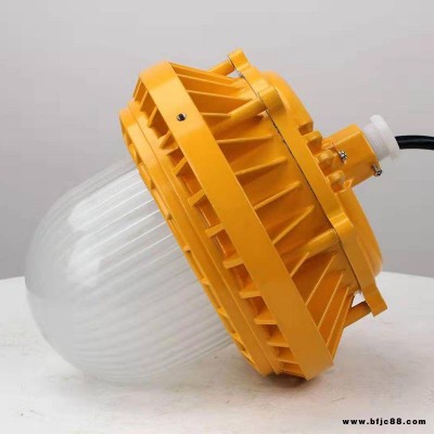 廠家批發圓形LED防爆投光燈