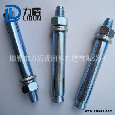 國標(biāo)膨脹螺絲 M14 M16 M18 M20 膨脹螺栓 外膨脹螺栓 勾膨脹 現(xiàn)貨供應(yīng) 力盾緊固件