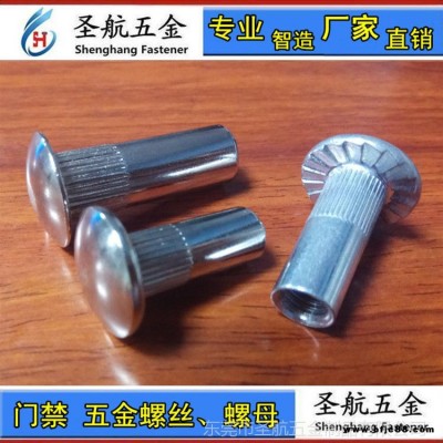 電磁鎖螺母緊固件電磁鎖螺帽廣東莞市電磁鎖螺母生產(chǎn)加工廠家