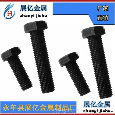 鋼結(jié)構(gòu)螺栓緊固件鋼結(jié)構(gòu)螺絲鋼結(jié)構(gòu)螺栓生產(chǎn)加工廠家