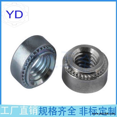 機械行業設備緊固件S-0518-1/-2/-3英制牙壓鉚螺母鈑金花齒螺母