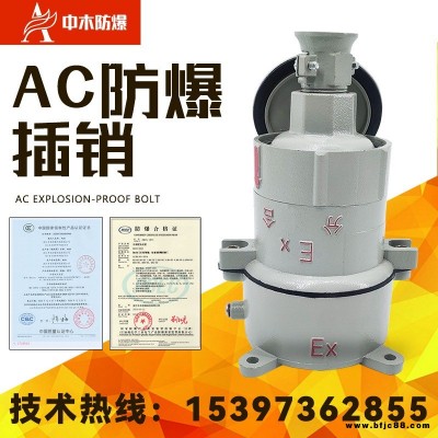 廠家直銷(xiāo) 防爆插銷(xiāo) 防爆插座 防爆插頭 電工插座