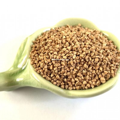 核桃殼拋光磨料各種型號  核桃殼濾料磨料  常年供應 碧之源