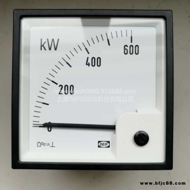 供應DEIF 電流表舵角指示WQ96-X