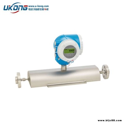 E+H恩德斯豪斯流體8H1B25流量儀表8H1B40一體式變送器8H1B50