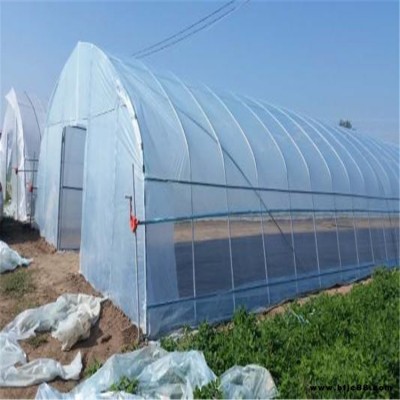 武漢鋼管大棚 地暖式果樹大棚 旭航溫室大棚建設