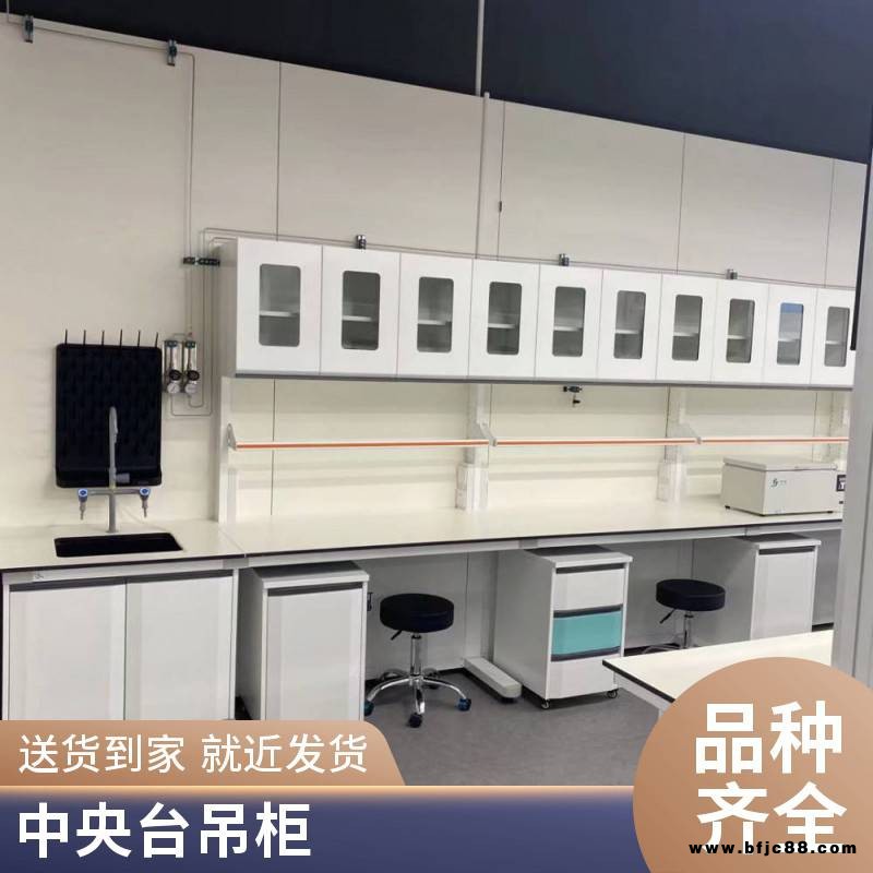 福興化驗室實驗臺邊臺密度板吊柜鋼玻試劑架