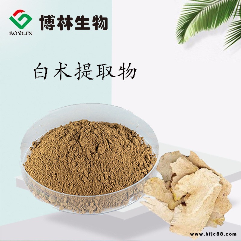 博林生物 白術(shù)提取物10:1  白術(shù)粉 山薊   冬術(shù)  藥食同源 食品飲料保健食品原料 可寄樣品