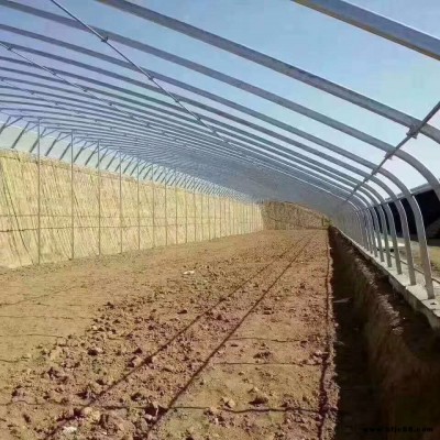 半坡暖棚 冬春日光種植養殖斜坡無后墻新型鋼架大棚子鍍鋅鋼管包塑橢圓管骨架