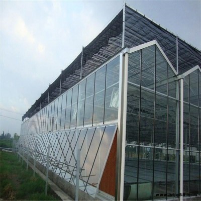 成都建蔬菜大棚廠家 冬釣大棚 金鈉