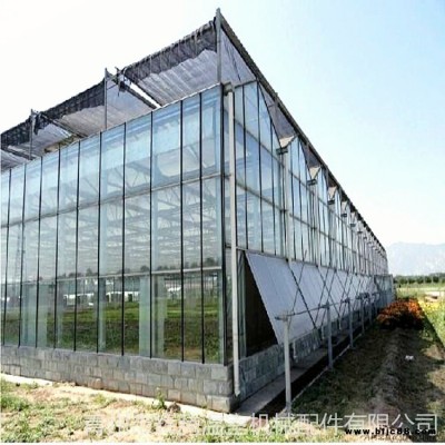 北方冬釣大棚建設 草莓盆栽溫室 專業(yè)花卉大棚施工價位