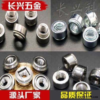 廠家直銷(xiāo)304不銹鋼壓鉚螺母浮動(dòng)螺母不銹鋼壓鉚螺母工具自鎖非自鎖漲鉚螺母圓形 臺(tái)階螺母 螺帽藍(lán)白鋅滾花碳鋼螺絲螺母