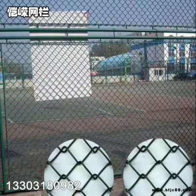 愷嶸廠家直銷學校球場圍網 操場圍網 籃球場護欄特殊規格可加工定做