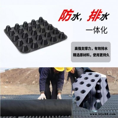 HDPE排水板廠家供應  30厚凹凸排水板  凹凸排水板