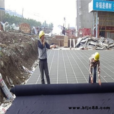 十堰復合防護排水板廠家 塑料排水板價格 凹凸塑料排水板經銷商