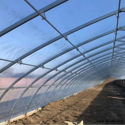雙膜骨架溫室大棚建設 蔬菜種植大棚 雙膜櫻桃大棚建設 規格齊全質量可靠