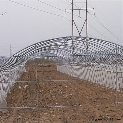 鼎誠雙膜骨架 鍍鋅雙膜骨架 供應農用鍍鋅大棚骨架 廠家 鍍鋅雙膜骨架廠家