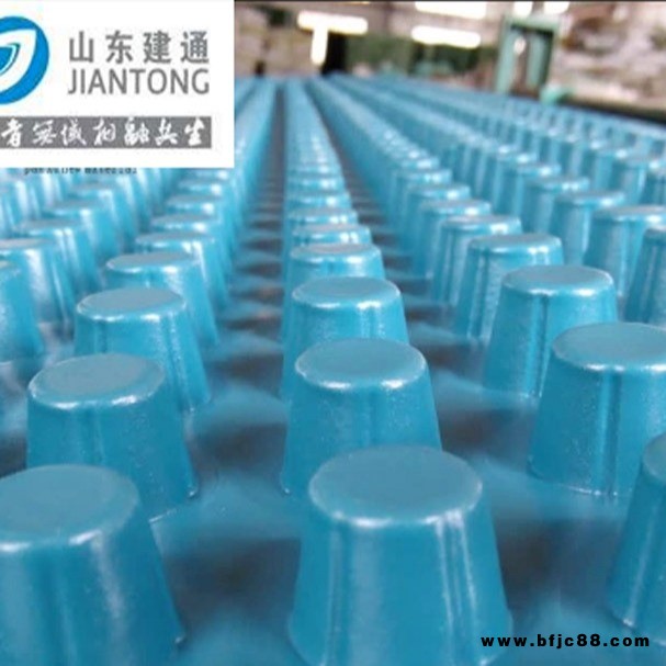 建通 凸點排水板 HDPE排水板廠家 屋頂花園用塑料排水板 供應塑料蓄排水板片材 廠家批發